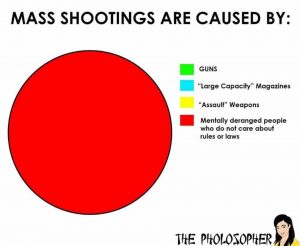 Gun Control Pie Chart